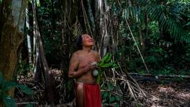 Avatar en el Amazonas. Una tribu ve en la selva un mundo infinito