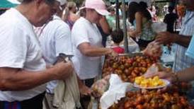 Feria del Pejibaye en Tucurrique de Cartago está cada vez más cerca