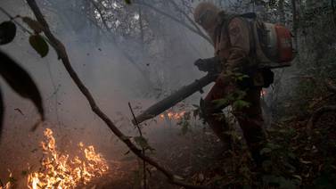 Nada para incendios en el valioso Pantanal brasileño