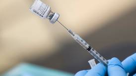 Llegada de vacuna de Pfizer contra covid-19 a las farmacias no será tan pronto