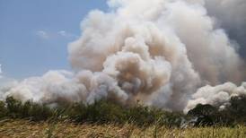 Bomberos le da una mano al SINAC para apagar incendio forestal en Guanacaste