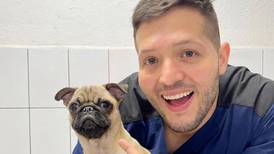 Conozca a Leo Solórzano, el veterinario de las mascotas de los famositicos 