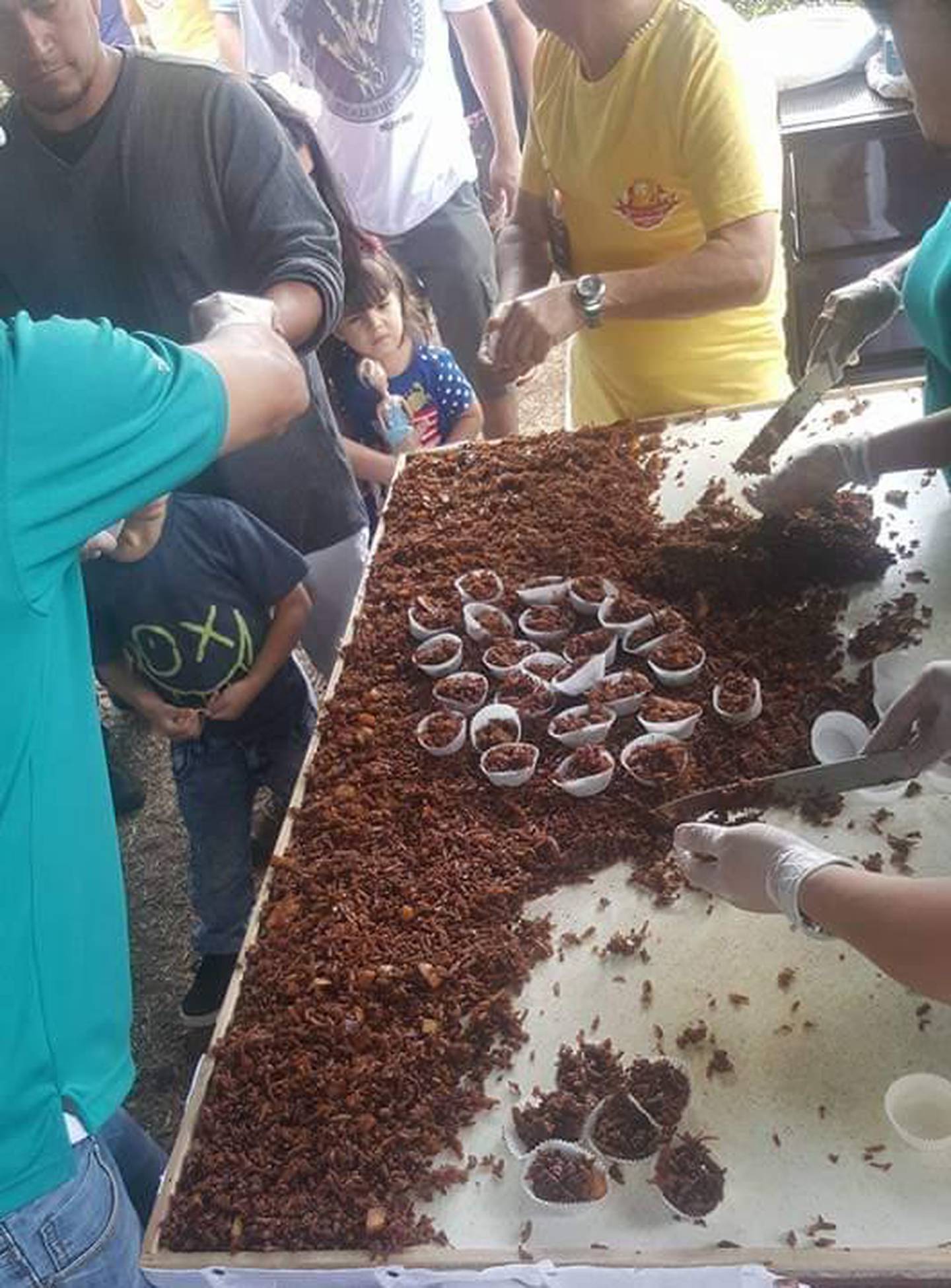 El domingo 2 de abril, en Desamparados, como parte de las actividades de la octava edición de la Feria de la Cajeta Desamparados 2023, se preparará la cajeta de coco más grande de la historia de Costa Rica