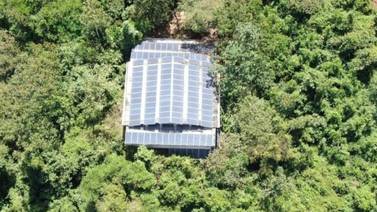Narcos usaban 120 paneles solares en el laboratorio de marihuana hidropónica más grande del país 