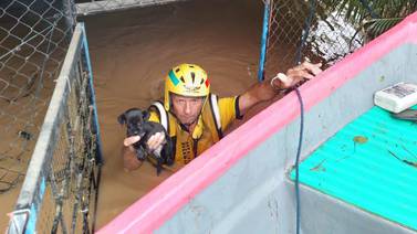 ¡Todas las vidas cuentan! Bombero rescata a perrito de morir ahogado en inundación 