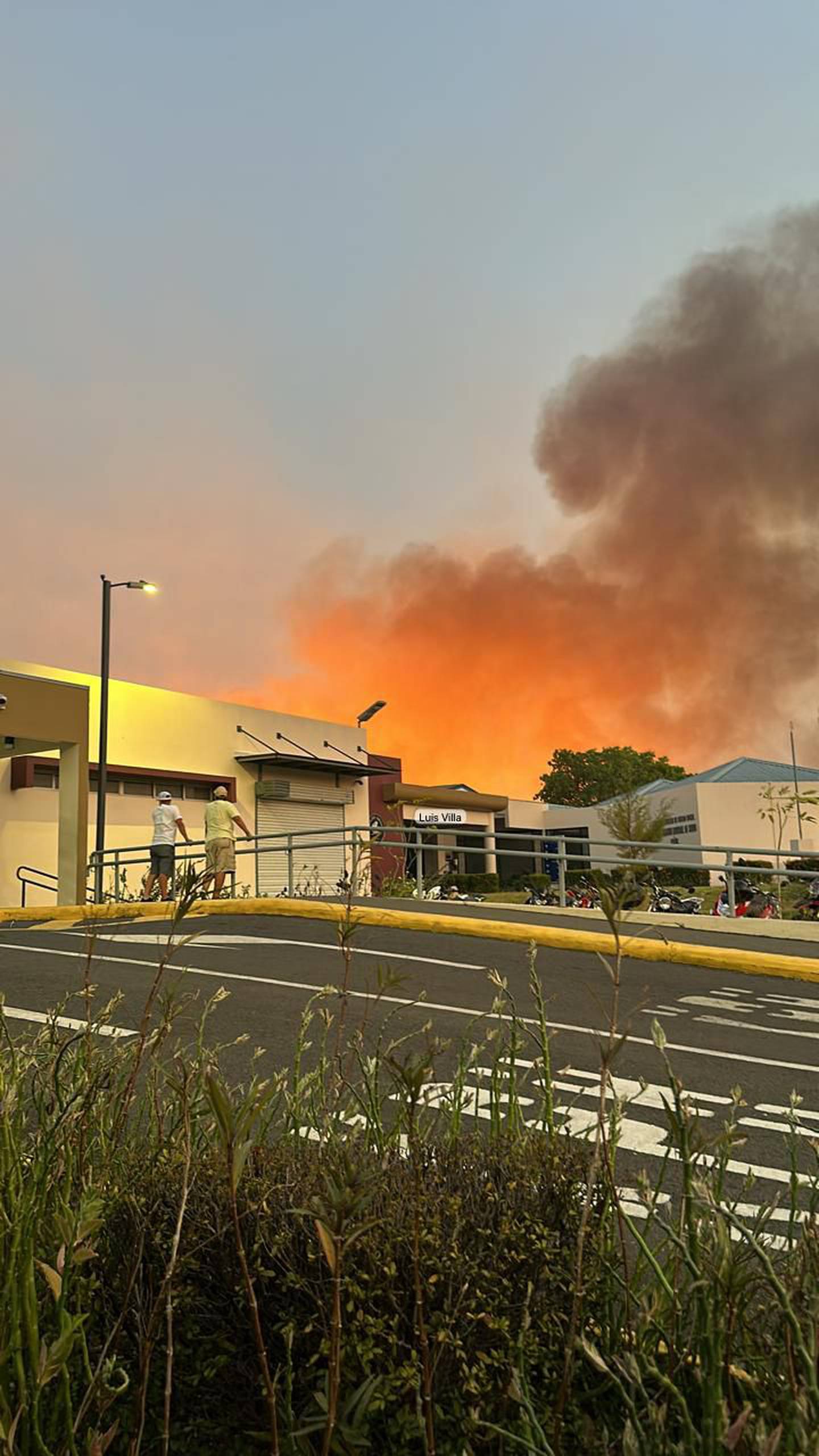 Incendio forestal en Cañas.