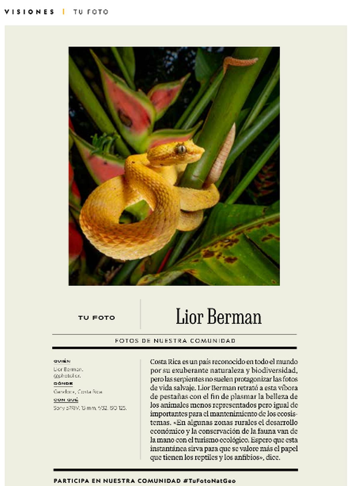 El joven tico Lior Bernan se dedica a la fotografía de fauna silvestre. Una de sus fotografías la publicó la revista National Geographic