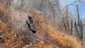 197 hectáreas de terreno fueron consumidas por incendios forestales