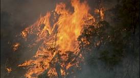 Tica ve de cerca drama por incendios en Australia