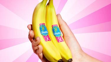 Bananos ticos llegarán a varias partes del mundo con lazo rosado