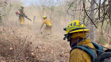 Bomberos están cerca de “liquidar” incendio forestal que ha causado gran daño en isla Chira