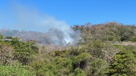 Viento y altas temperaturas afectan incendio forestal en Cóbano