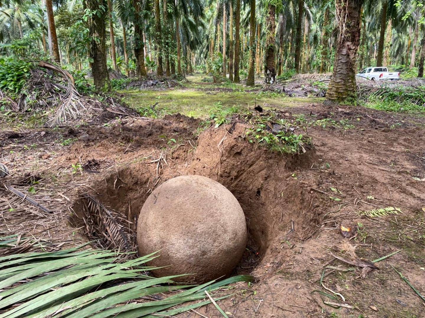La esfera de piedra encontrada mide 1.23 metros de diámetro; está en perfecto estado de conservación y se ubica en una finca privada en el sector de Finca 12, en Palmar Sur de Osa, provincia de Puntarenas.