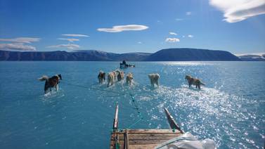 ¡Se derrite el planeta! Deshielo récord en glaciares de Groenlandia en 2019