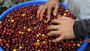 Escogen a Costa Rica para hacer gran inversión con nuevo producto de café 