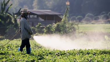 Ecologistas exigen tomar medidas contra polémico herbicida 