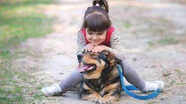 Inocencia puede poner a niños en riesgo de ser mordidos por perros 