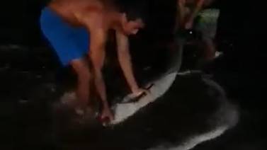 (Video) Dos jóvenes jacobeños rescataron un delfín varado en la playa