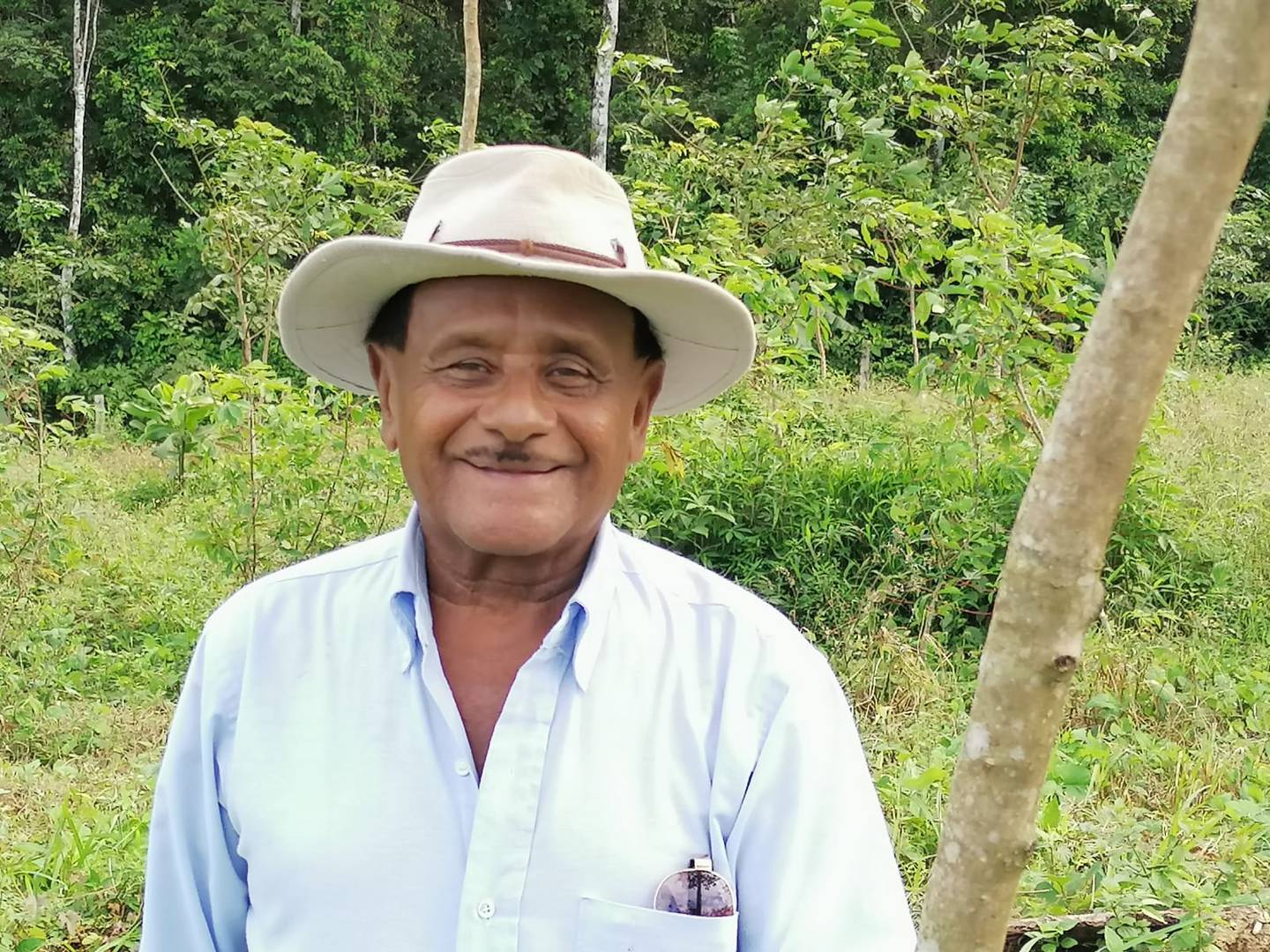 Luciano Rivas, sembró hace dos años hule en 8,5 hectáreas que tiene en el cantón de La Cruz en Guanacaste