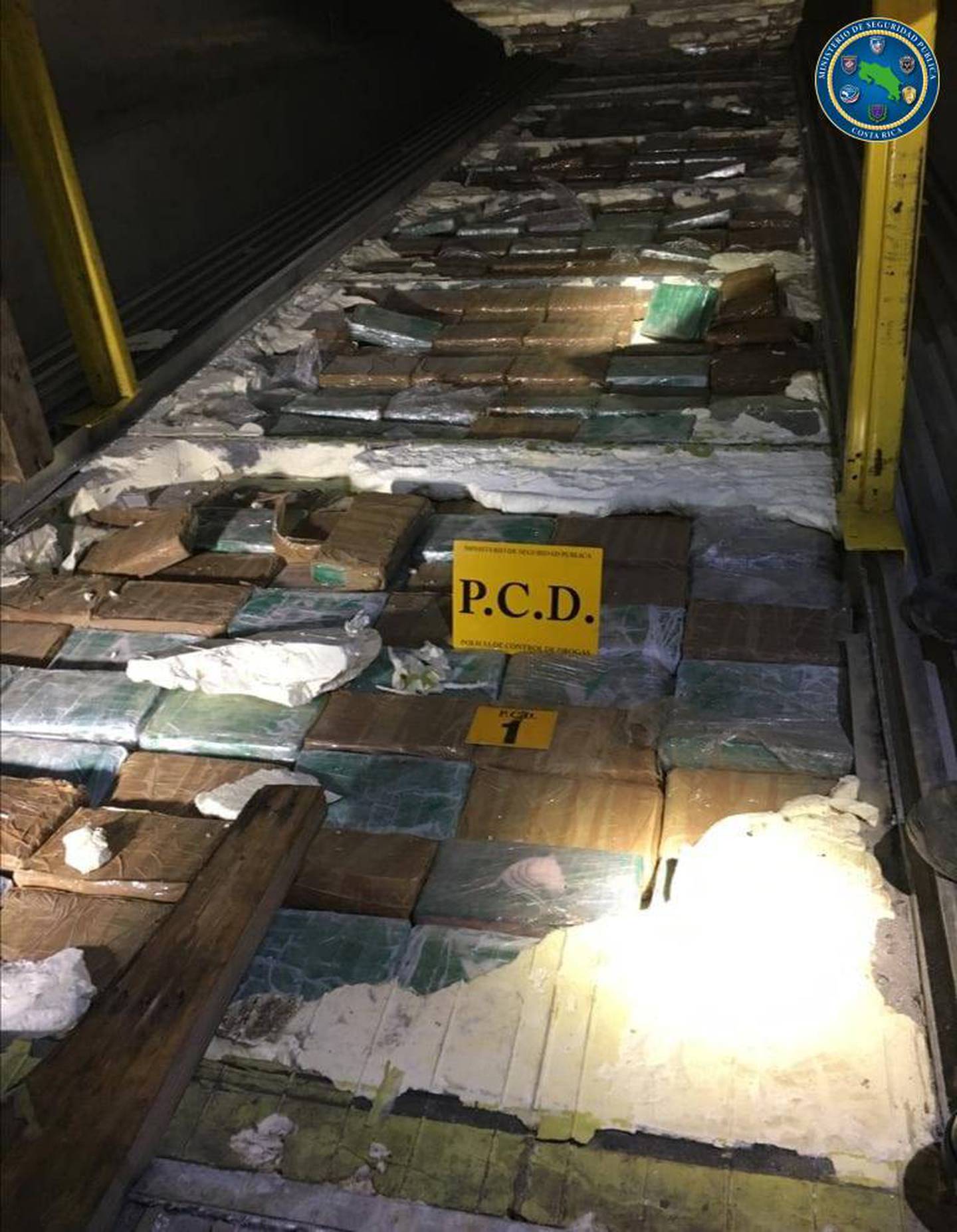 PCD decomisa 253 paquetes de cocaína en contenedor cargado con banano en Moín de Limón. Foto MSP.