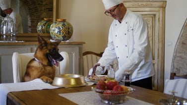 El perro más rico del mundo tiene un yate, viaja en jet y tiene un chef privado 
