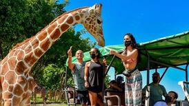 Miss Costa Rica quedó encantada con las jirafas