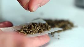 Diputado: “No todos lo que hemos consumido cannabis estamos destinados al fracaso”