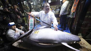 ¡Qué locura!: Japonés compra un atún en ¢177 millones