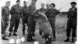 Wojtek, el oso que se creía humano y llegó a ser soldado