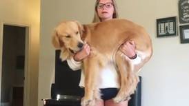(Videos) ¿Hacer pesas con el perro? El nuevo reto en Internet
