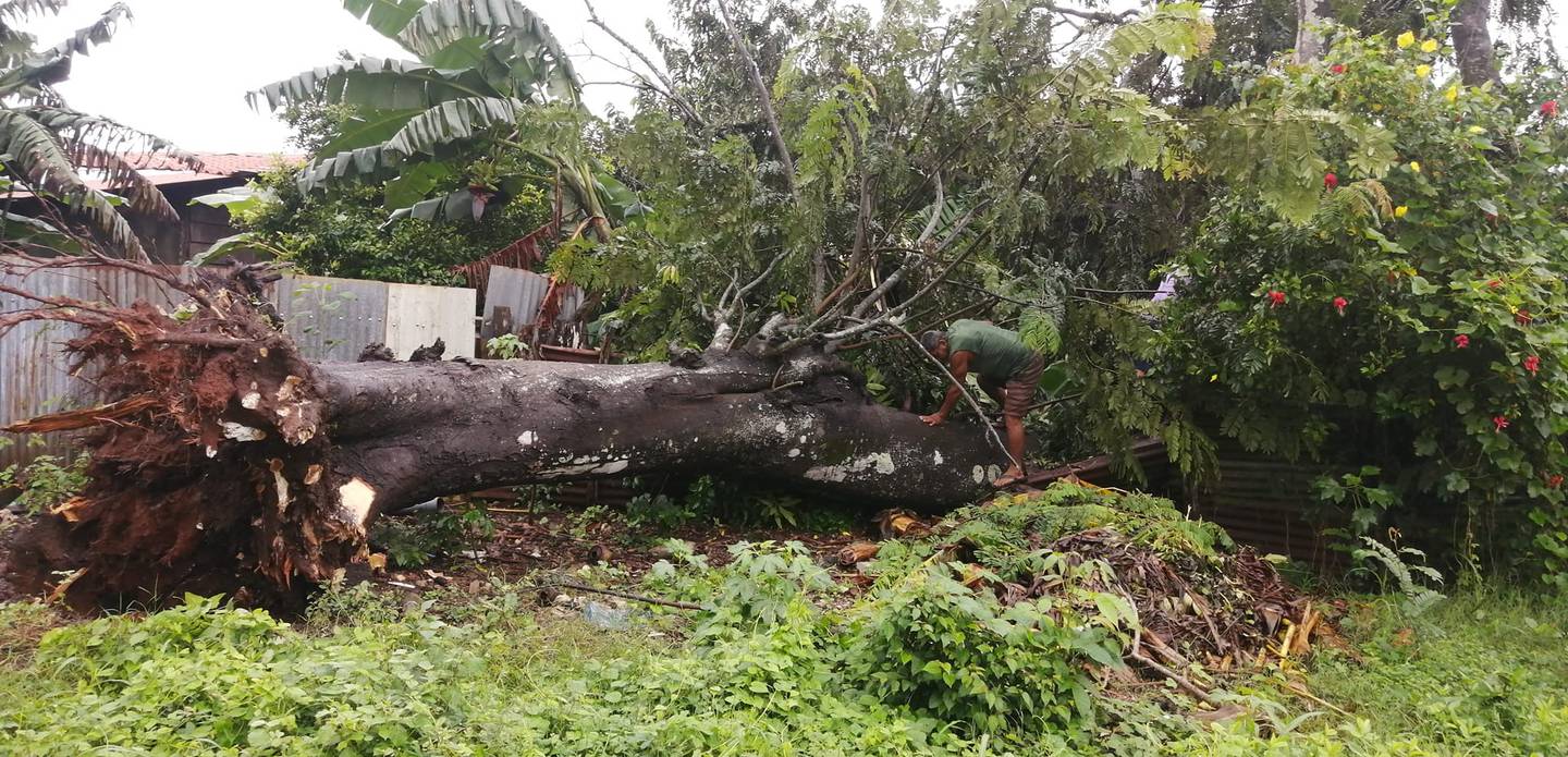 Padre e hija mueren tras caída de árbol sobre casa en Guanacaste.