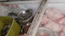 Policía encontró ratas y supuestos huesos de perro congelados en local de San José