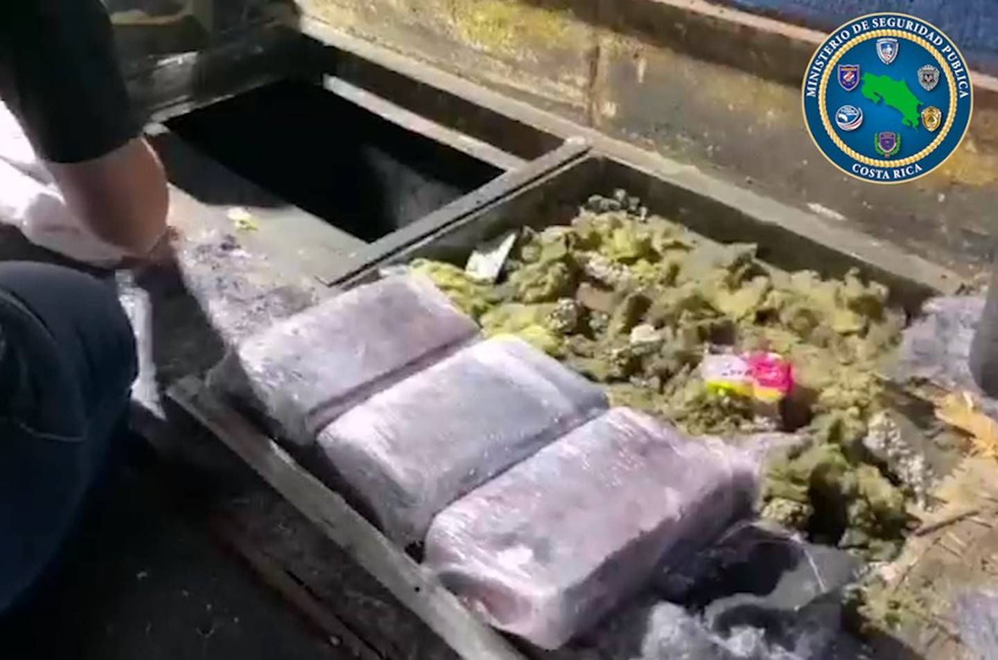 Decomisan 15 kilos de cocaína ocultos dentro de bus de excursión guatemalteca. Foto MSP.
