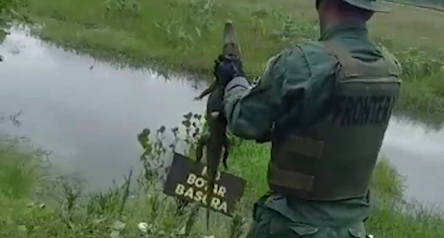Policías rescatan pequeño caimán en la frontera norte. Foto MSP.