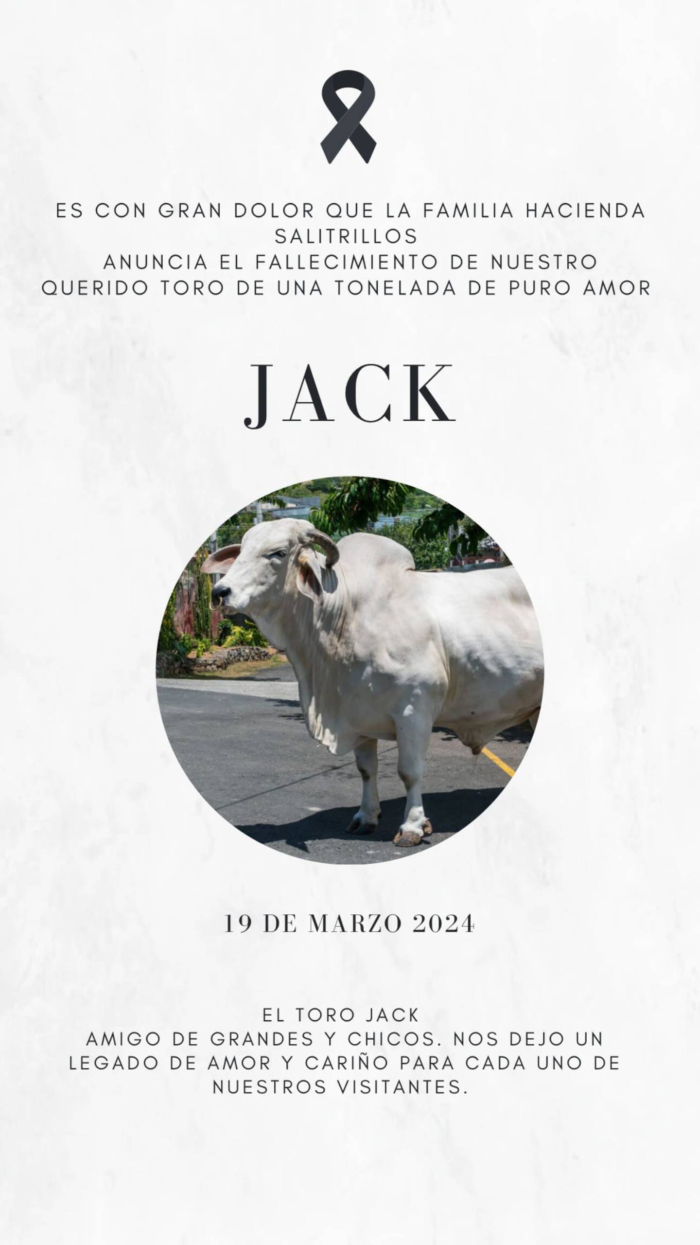 Toro Jack
Hacienda Salitrillos