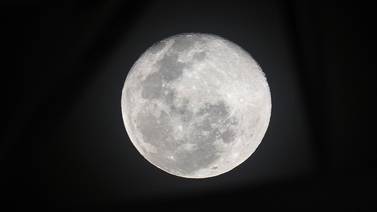 Vaya a observar la Luna este viernes en el zoológico Simón Bolívar