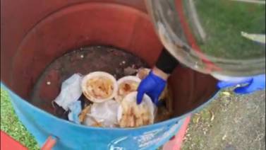 ¡Guácala! Vendedores “guardaban” empanadas y vigorones en basureros (video) 