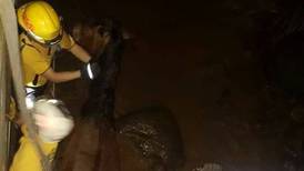Bomberos rescatan caballo que fue arrastrado por un río en Heredia