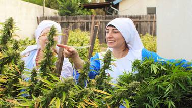 ‘Monjas cannábicas’ cultivan marihuana y defienden su uso