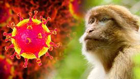 Extranjera sospechosa no tiene viruela del mono, tiene enterovirus