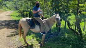 Trabajadores de salud de Upala van hasta a caballo a entregar medicamentos