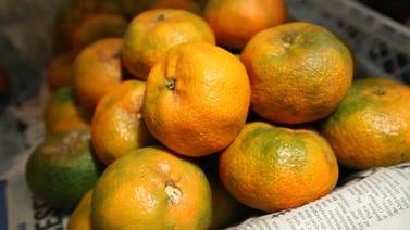 Mandarinas le ayudan a cuidar su corazón y combatir el estrés
