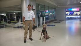 La nueva “contratación” del aeropuerto Juan Santamaría lo sorprenderá