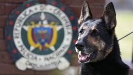 Narcos ponen precio a cabeza de perra policía
