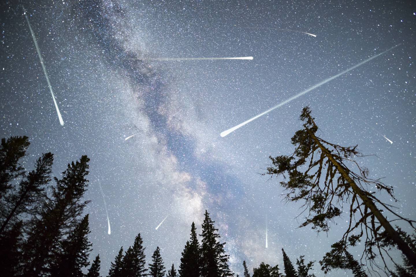 Between The Night Of Next Tuesday, December 13 And The Early Hours Of Wednesday, You And Your Whole Family Can Enjoy The Strongest Of The Best Meteor Showers Of 2023
