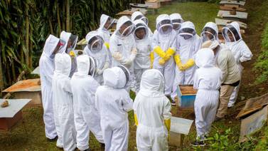 Descubra el mundo de las abejas por medio de un recorrido muy novedoso