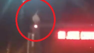 (Video) Pato pasea en el techo de un bus en Curridabat