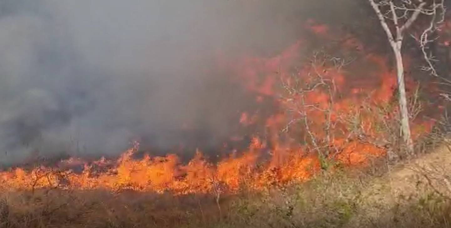 El incendio ha arrasado con 120 hectáreas en Tempate de Santa Cruz. Bomberos.