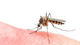 Brote de malaria en Costa Rica es motivo de alerta para Estados Unidos