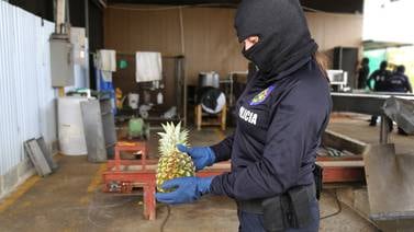 Allanan dos piñeras por sospechas de tráfico de droga a España y Estados Unidos 